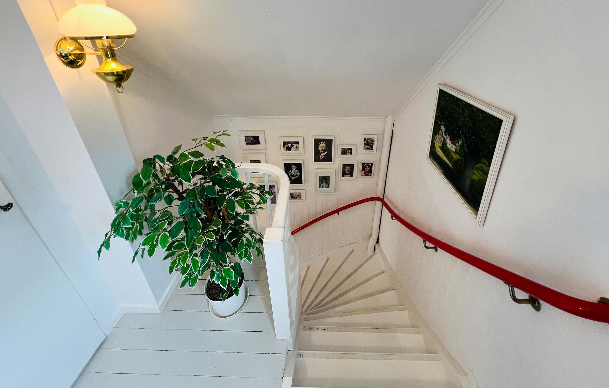 Een trap met een rode leuning, een potplant en ingelijste foto's aan de muur.