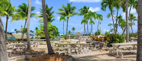 المنطقة المحيطة بالمنشأة