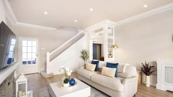 TV, fireplace, books