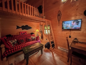 Smart TV, books - BEST outdoor amenities (2 dock slips, covered hot tub, sauna, pizza oven, more!) (Oakland)