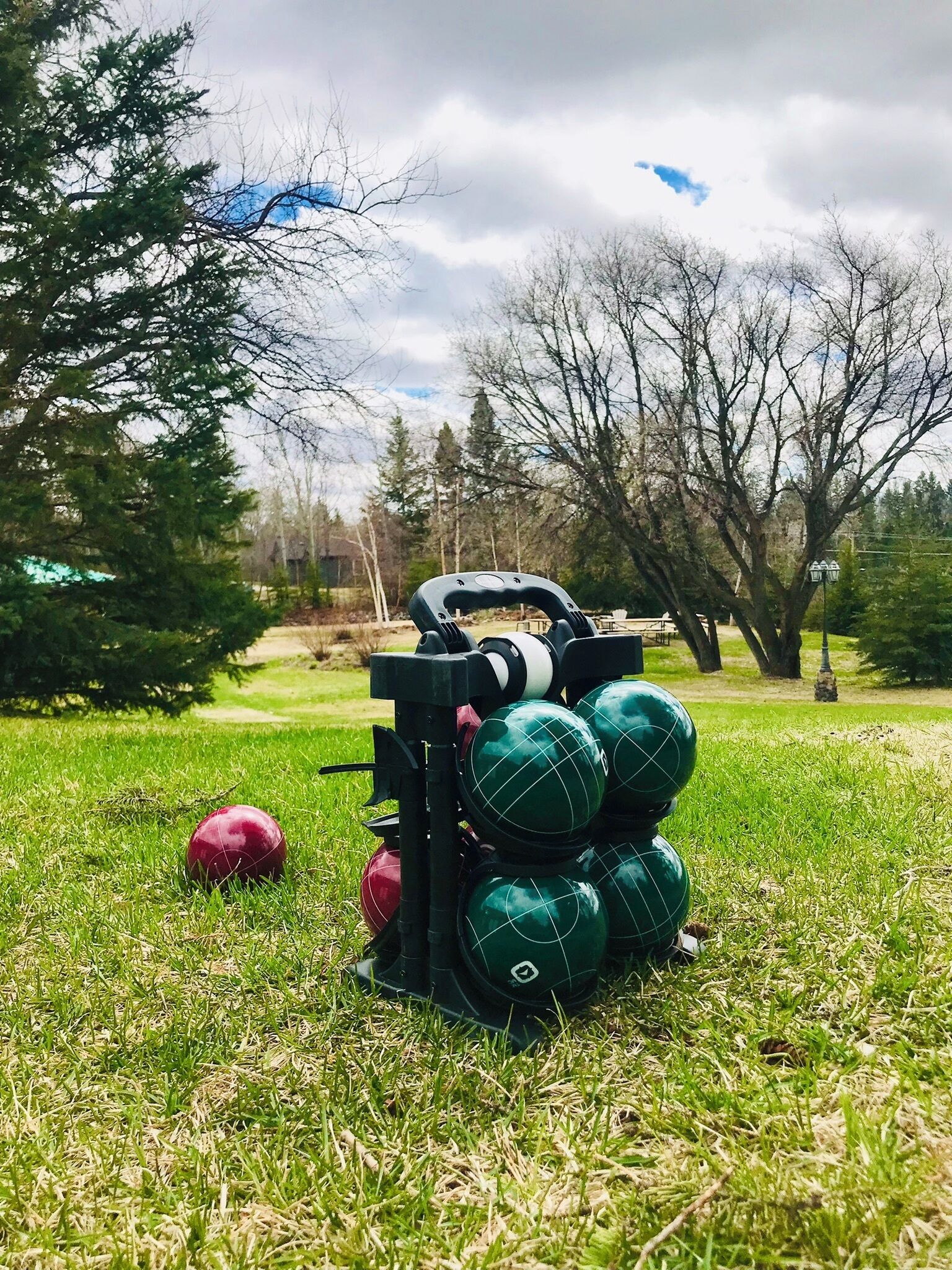 En uppsättning golfbollar och en golfbagge på en gräsyta med träd i bakgrunden.
