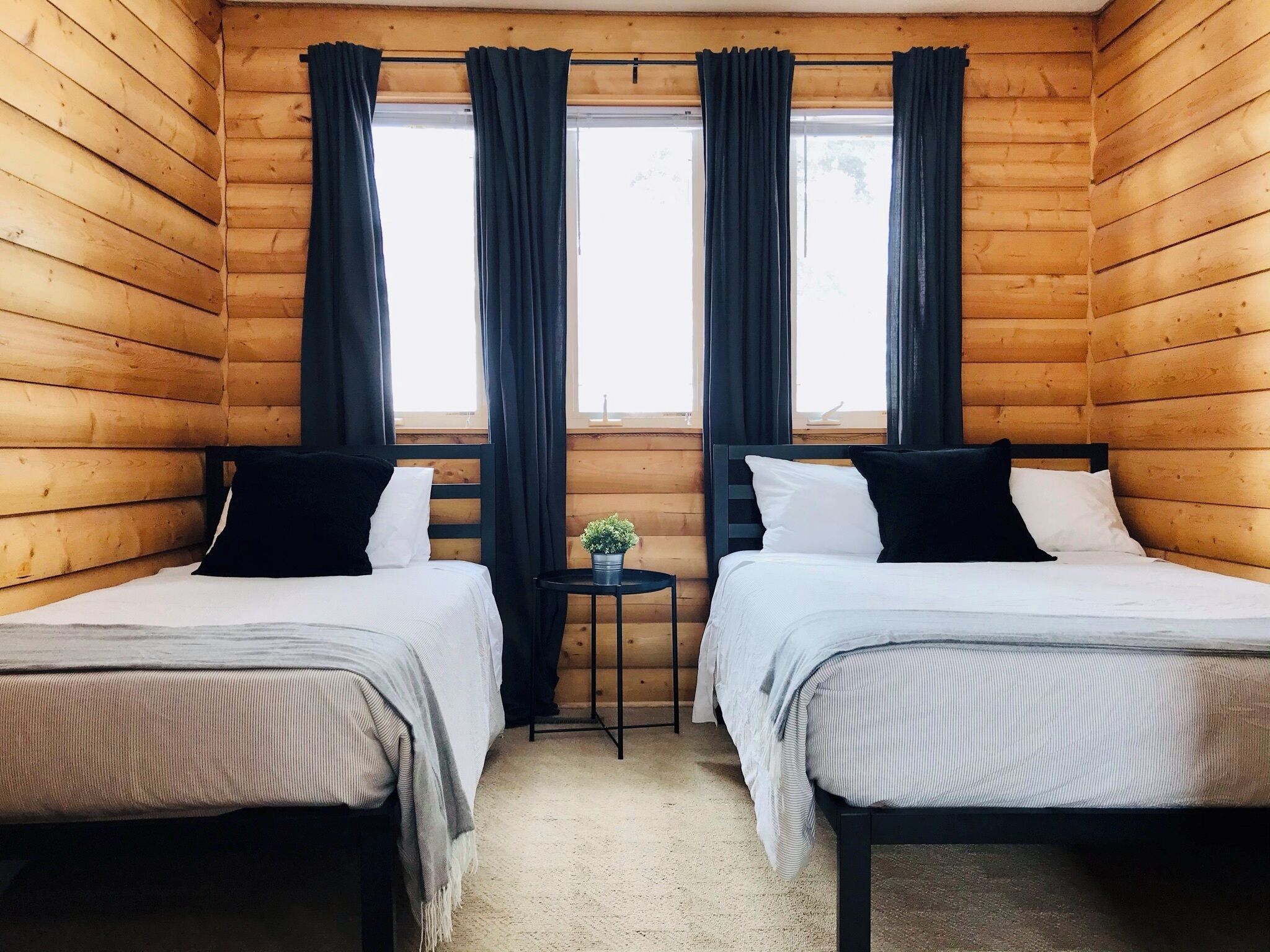 Une chambre avec deux lits, des murs en bois et une petite table sur laquelle est posée une plante.