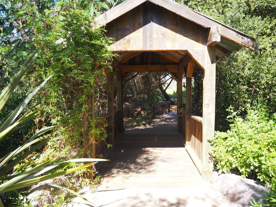 A wooden covered bridge with a simple, open design, surrounded by lush greenery.