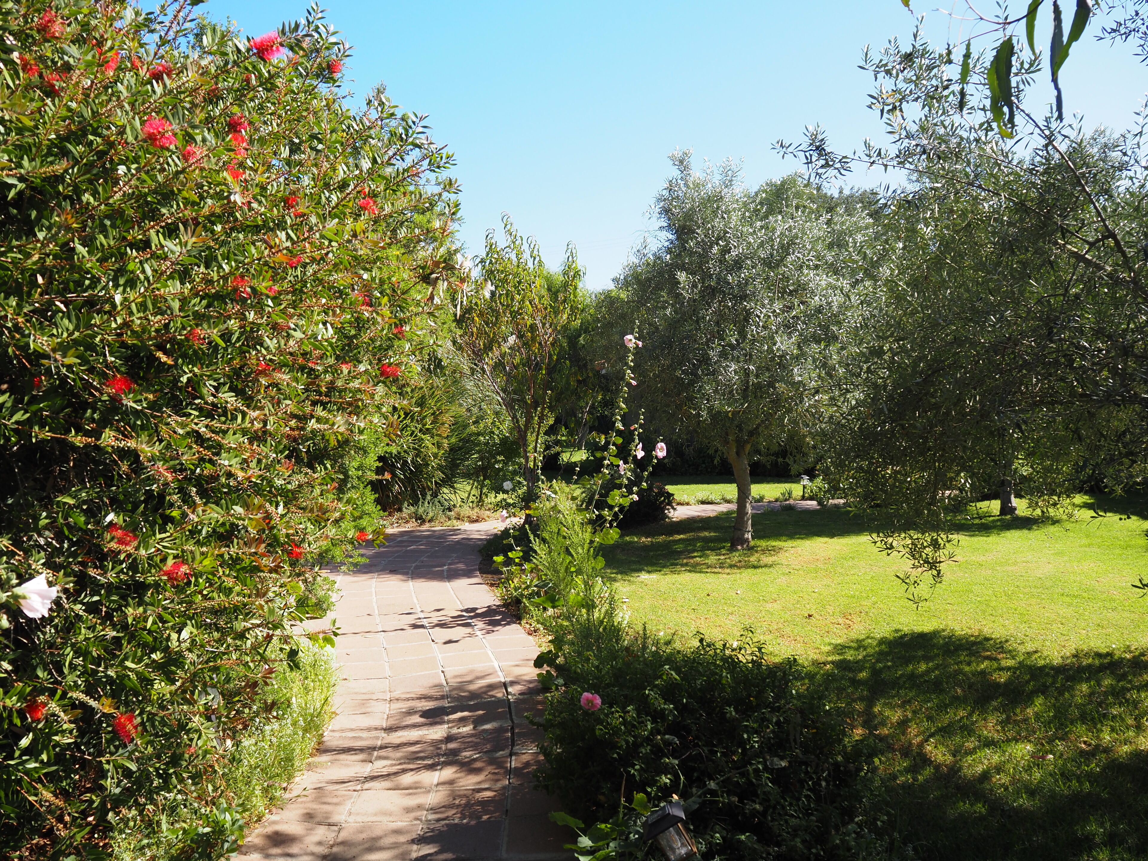 A garden pathway with a stone pavement, surrounded by lush greenery and flowering plants.