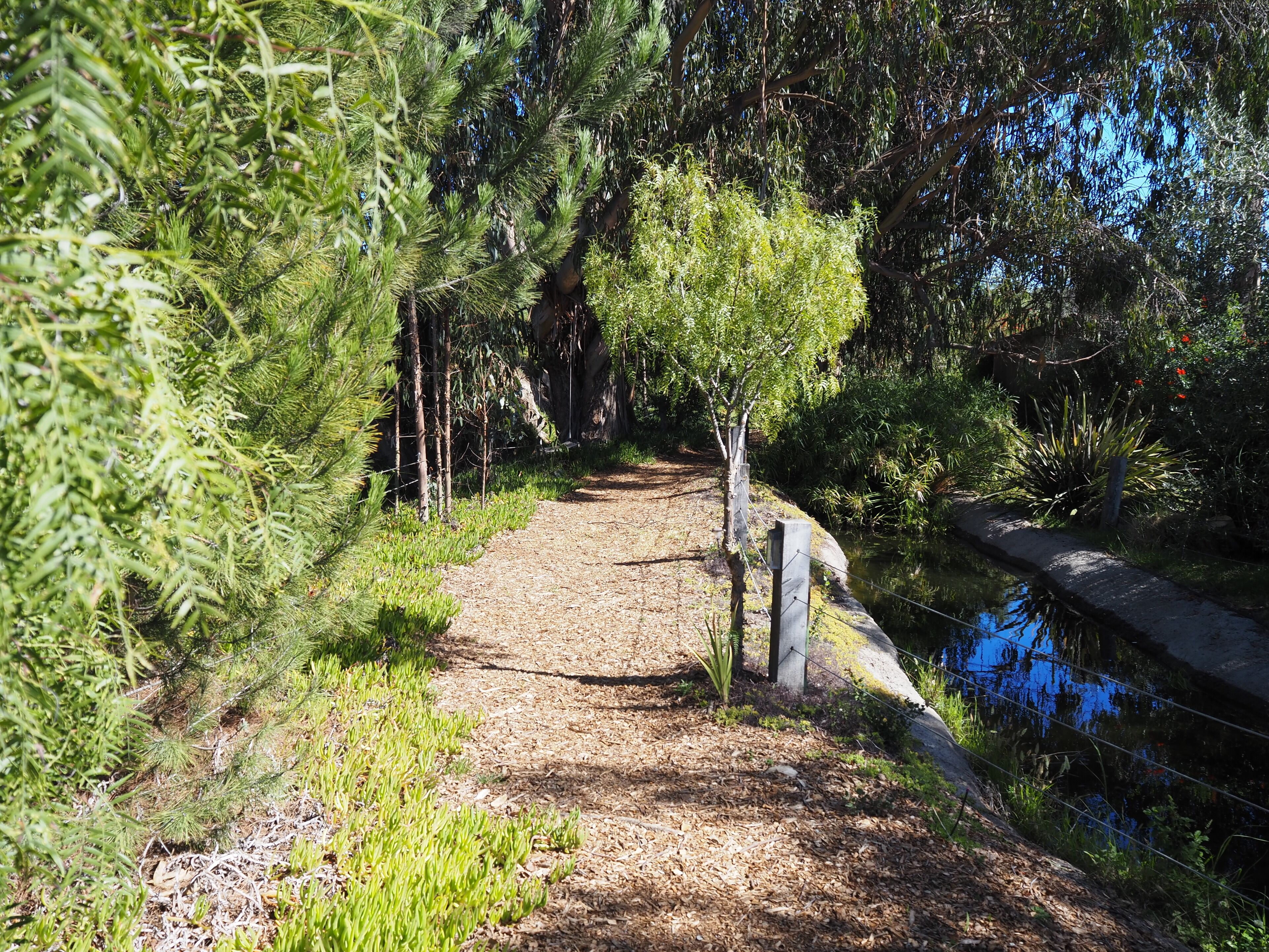 A gravel path flanked by dense greenery and a body of water.