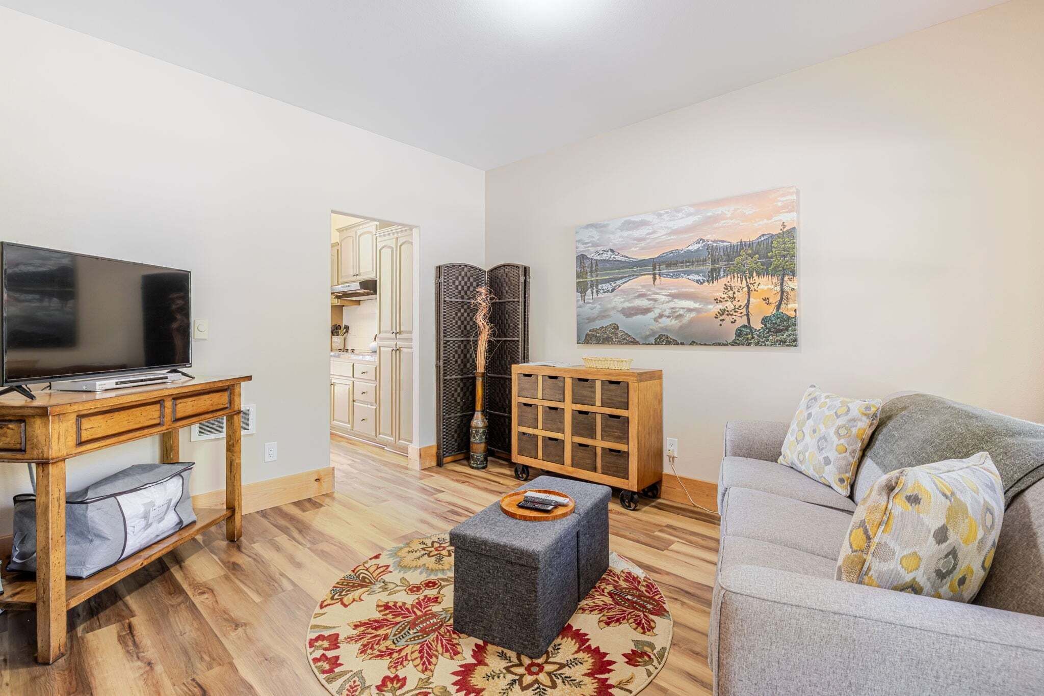 A living room with a TV, a sofa, a coffee table, a patterned rug, and a painting of a landscape.
