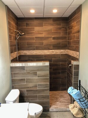 Shower, hair dryer, towels, soap - Driftless Manor Getaway (Monona)