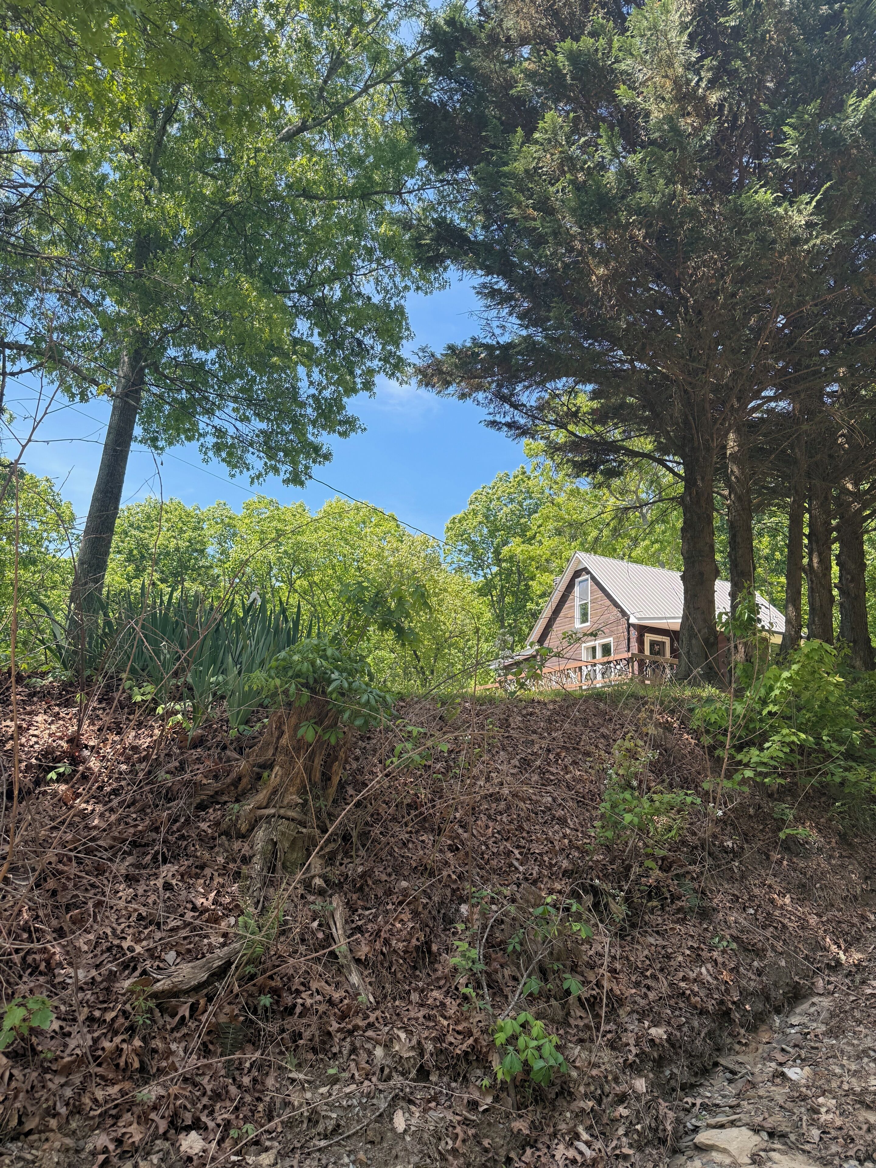 A house surrounded by dense trees and a pile of leaves.