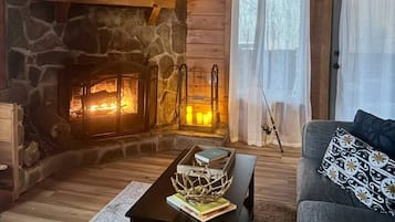 Smart TV, fireplace, books