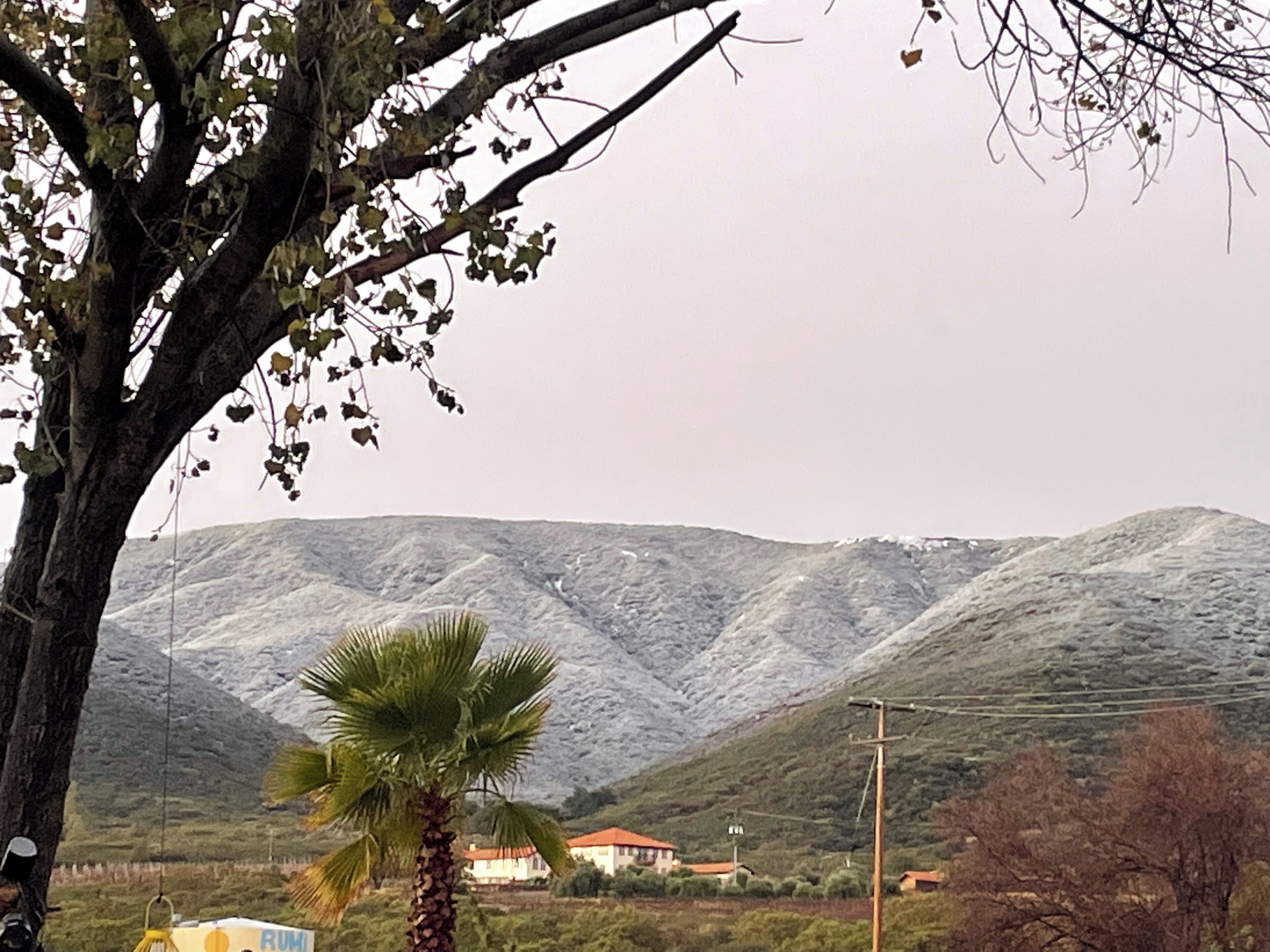 A mountainous landscape with a palm tree and a building with a red roof.