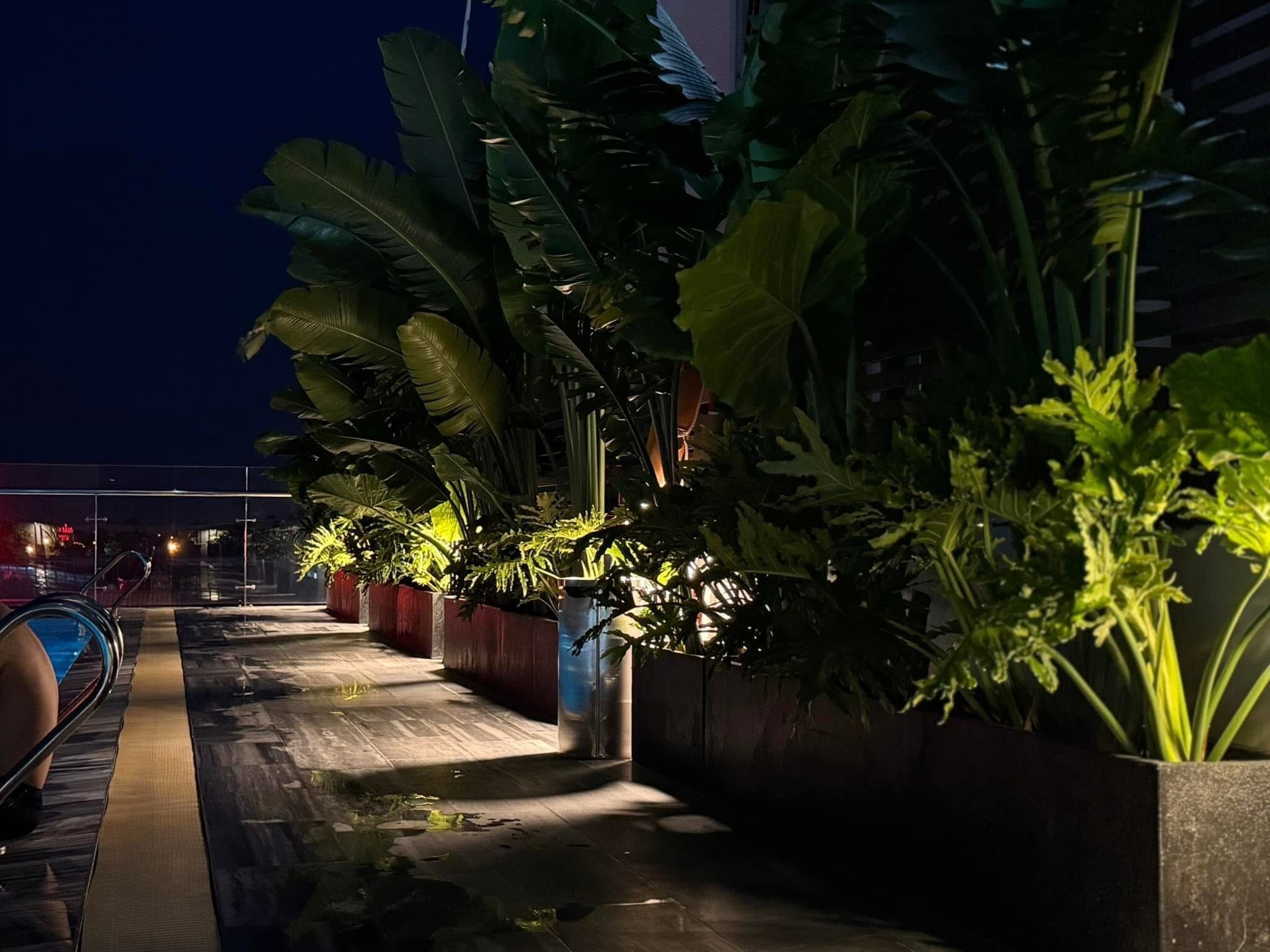 Una piscina al aire libre, sombrillas, sillones reclinables de piscina