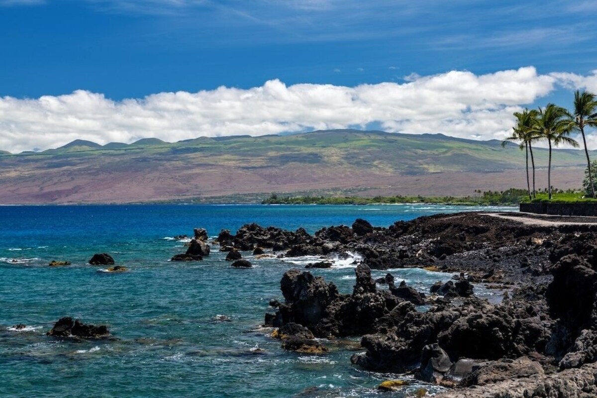 オーナーのプロフィール画像