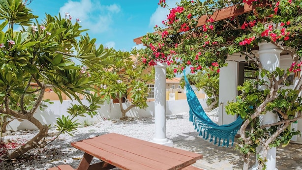 A wooden picnic table in a garden area with white gravel, surrounded by green plants and a hammock. - Casa del Sol (Noord)