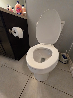 Ducha, secador de pelo, toallas, jabón