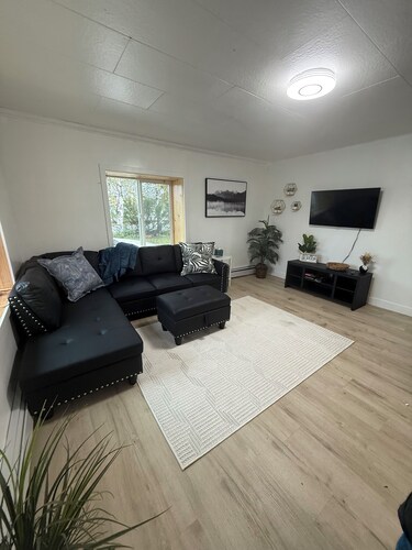 Newly Renovated Downtown Apartment