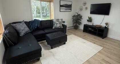 Newly Renovated Downtown Apartment