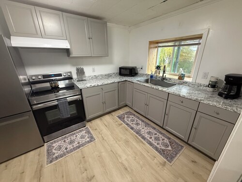 Newly Renovated Downtown Apartment