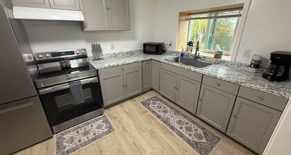 Newly Renovated Downtown Apartment