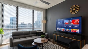 Fernseher, Computerbildschirme