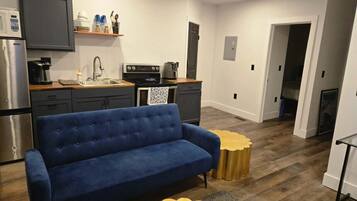 TV, fireplace, DVD player, books