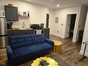 Télévision, cheminée, lecteur de DVD, livres