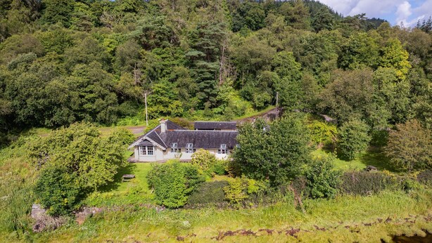 A house surrounded by dense forest, with a clear view of the surrounding greenery and a body of water in the foreground.