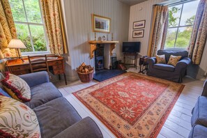 Télévision, cheminée