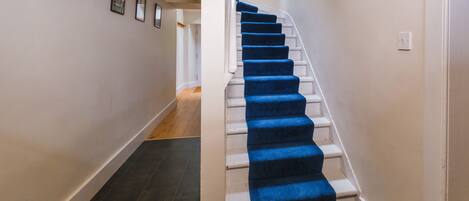 A staircase with blue carpeted steps leading to a landing.