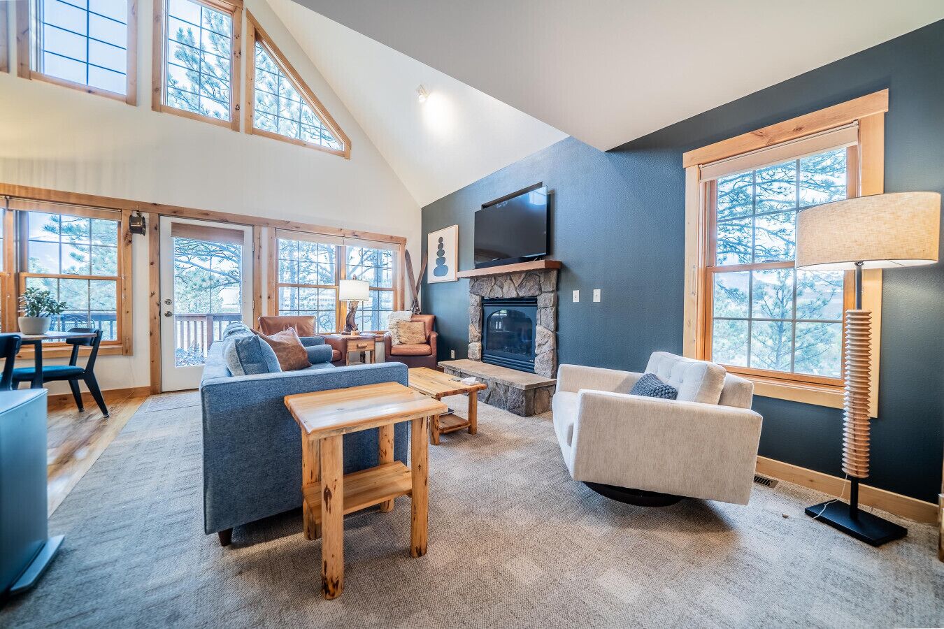 Tv, eldstad, böcker och en stereo