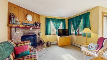 TV, fireplace, DVD player