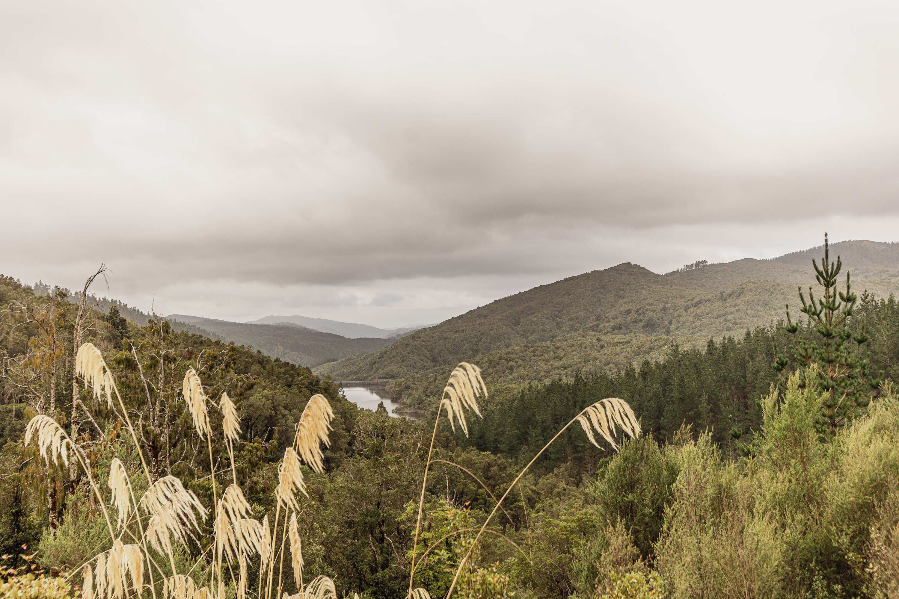 A mountainous landscape with dense forest and a lake.