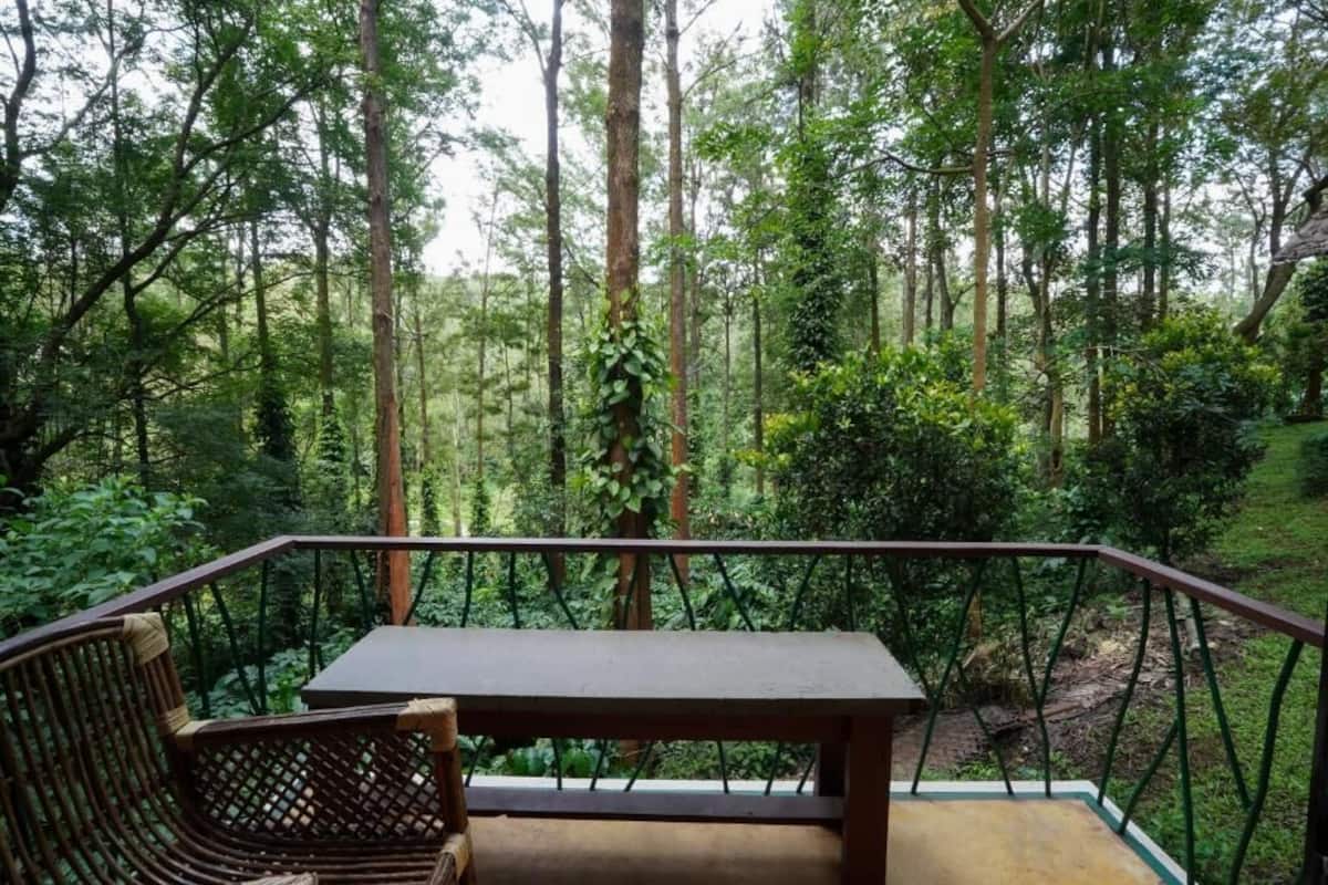 Terraza de madera con mesa y sillas que da a un bosque.