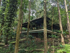 Dining room - Gorukana Eco Wellness Centre (Yelandur)