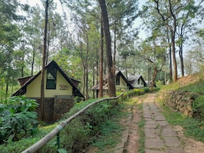 Ngoại thất
