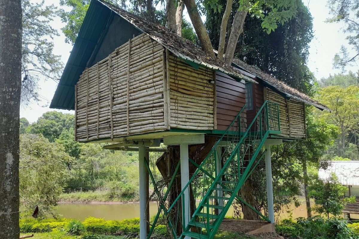 Casa Deluxe en un árbol, balcón, vistas al lago | Ropa de cama