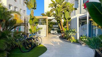 Terrein van de accommodatie