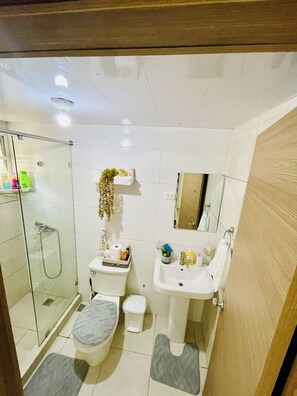 Regadera, toallas, jabón, shampoo 