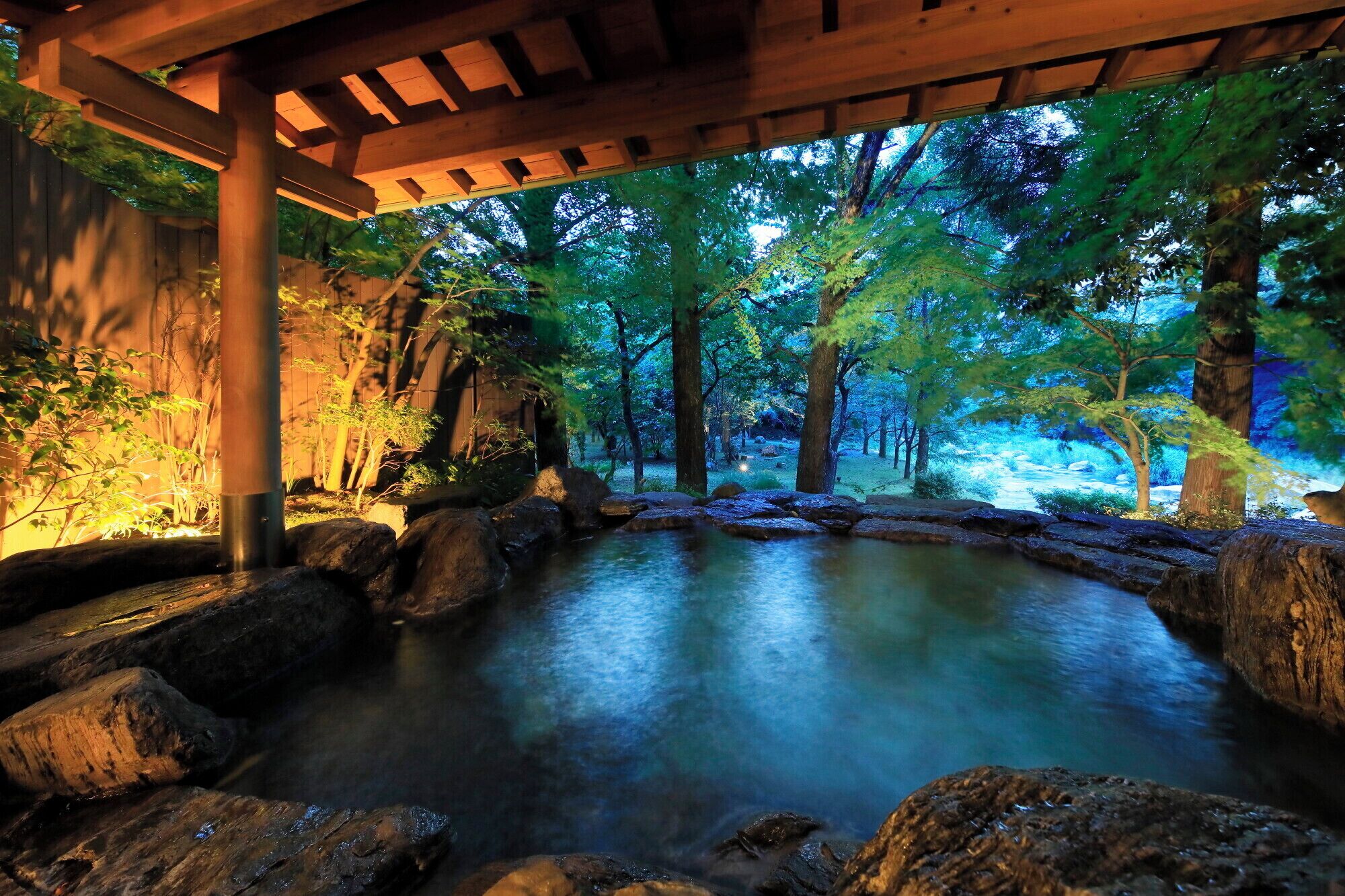 Hair dryer, slippers, towels