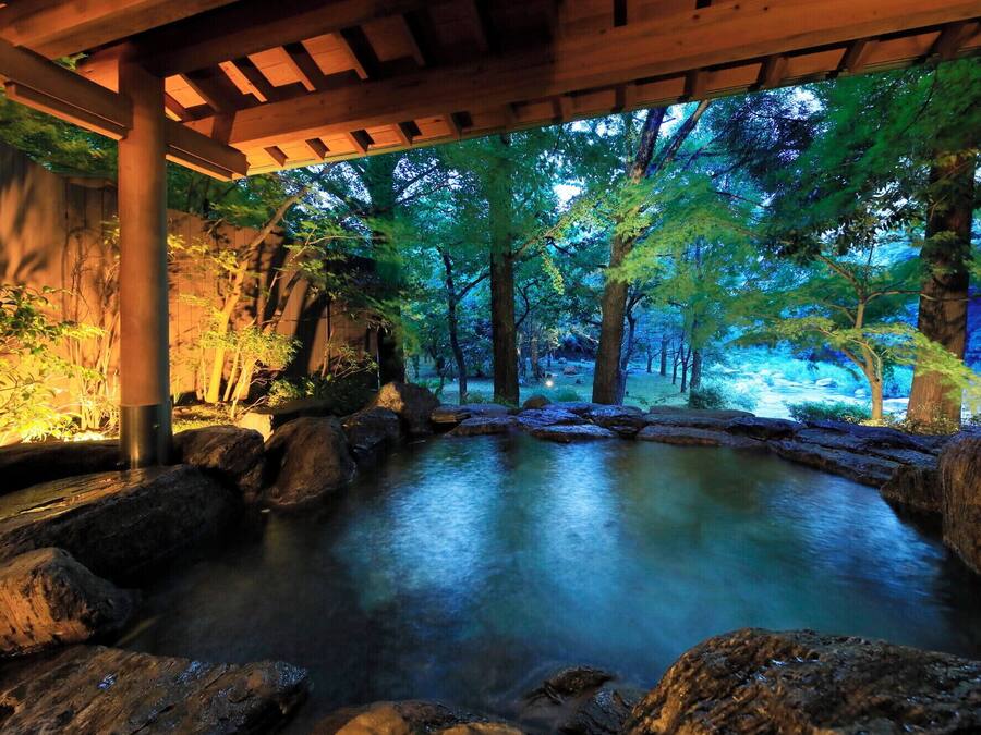 Secador de pelo, zapatillas y toallas