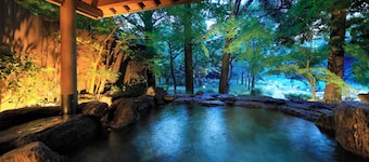 FuruyuOnsen SagaFuga