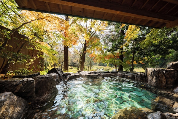 Hot springs