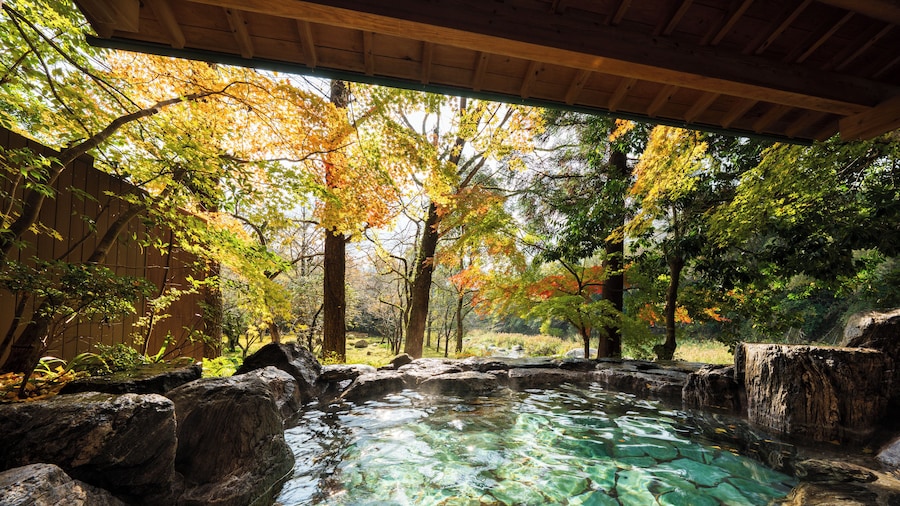 FuruyuOnsen SagaFuga