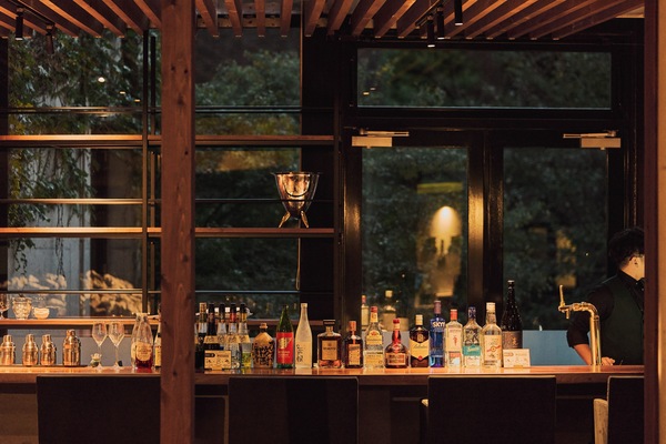 Bar (en la propiedad)
