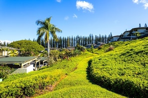 Condo (1 Bedroom) | Exterior - NEW KBM Resorts Free CAR Kapalua Golf Villas 1-bedroom Condo With Spacious Lanai and Golf Course Views! Kgv-18t4 (Kapalua)