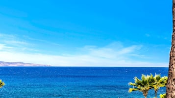 Condo (1 Bedroom) | Front of property