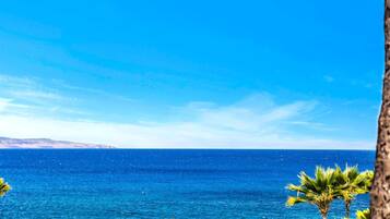 Condo (1 Bedroom) | View from property