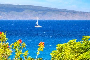 Appart'hôtel (1 Bedroom) | Vue de la chambre