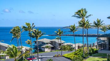 Villa, 1 chambre (Oceanfront, Sleeps 4 (KBV-12B3)) | Vue de la chambre