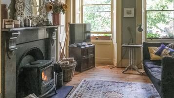 TV, fireplace