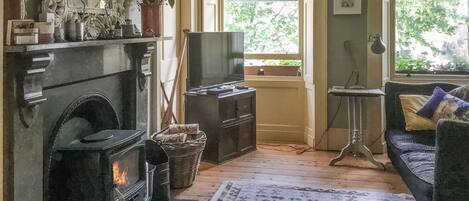 Télévision, cheminée